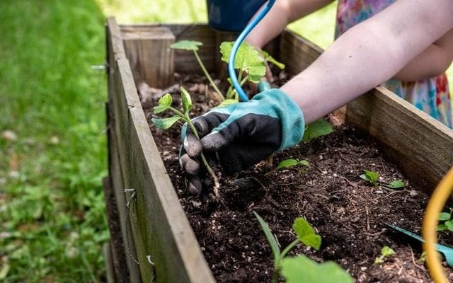 Activities involved- Gardening