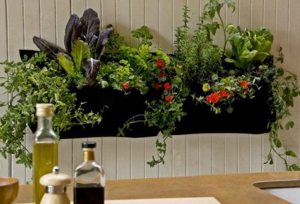 Consider Vertical Garden