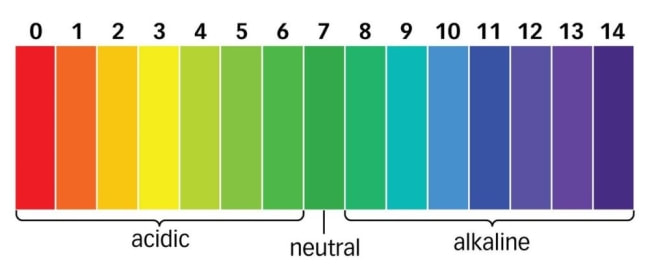 What Makes a Perfect Soil Potting Mix