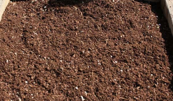 potting soil