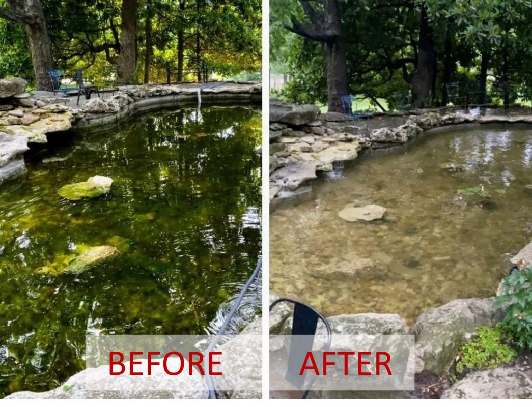 pond cleaning before and after Singapore
