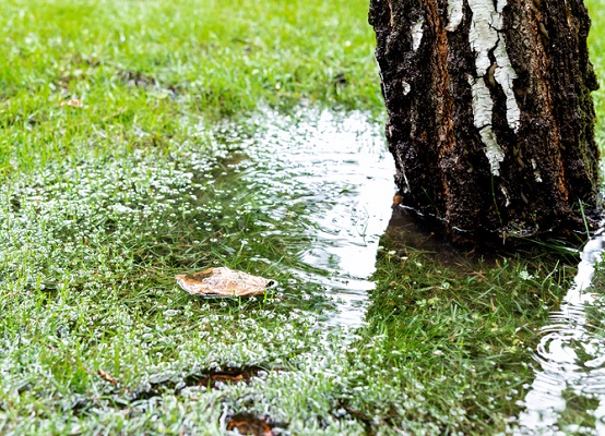 garden-drainage-waterlogging